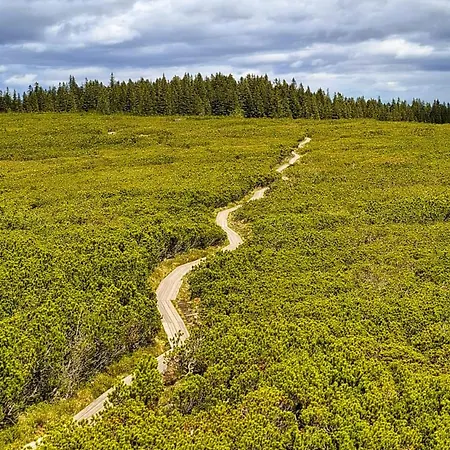Apartma Jurcek Lägenhet Rogla
